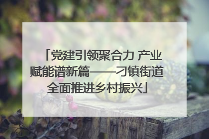 党建引领聚合力 产业赋能谱新篇——刁镇街道全面推进乡村振兴