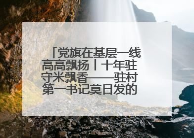 党旗在基层一线高高飘扬丨十年驻守米飘香——驻村第一书记莫日发的乡村印记