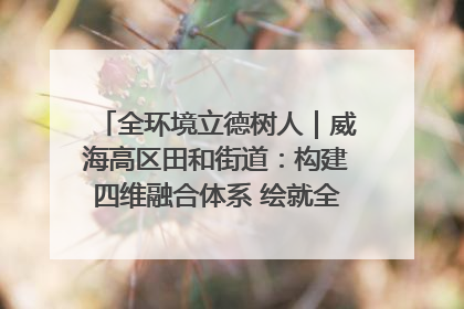 全环境立德树人｜威海高区田和街道：构建四维融合体系 绘就全环境立德树人新画卷