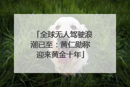 全球无人驾驶浪潮已至:黄仁勋称迎来黄金十年