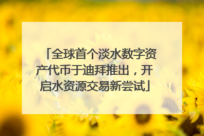 全球首个淡水数字资产代币于迪拜推出，开启水资源交易新尝试