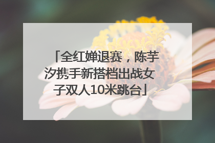 全红婵退赛，陈芋汐携手新搭档出战女子双人10米跳台