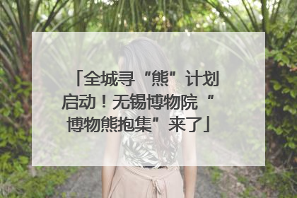 全城寻“熊”计划启动！无锡博物院“博物熊抱集”来了