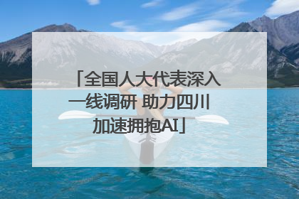 全国人大代表深入一线调研 助力四川加速拥抱AI
