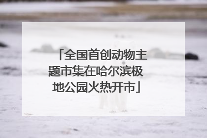 全国首创动物主题市集在哈尔滨极地公园火热开市