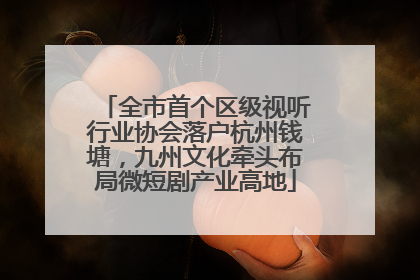 全市首个区级视听行业协会落户杭州钱塘，九州文化牵头布局微短剧产业高地