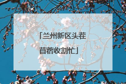 兰州新区头茬苜蓿收割忙