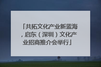 共拓文化产业新蓝海，启东（深圳）文化产业招商推介会举行