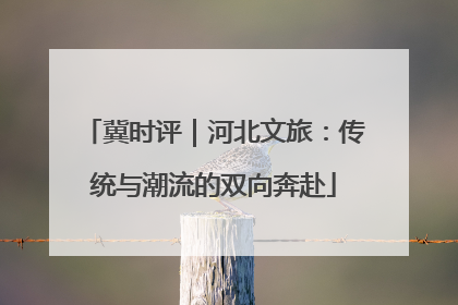冀时评｜河北文旅：传统与潮流的双向奔赴