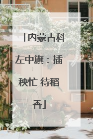 内蒙古科左中旗：插秧忙 待稻香