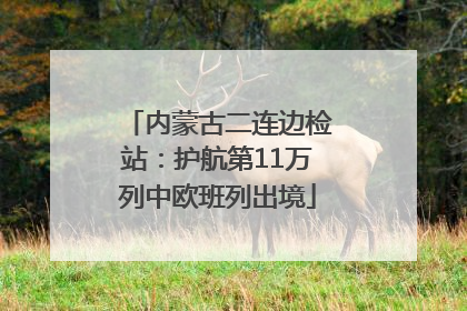 内蒙古二连边检站：护航第11万列中欧班列出境