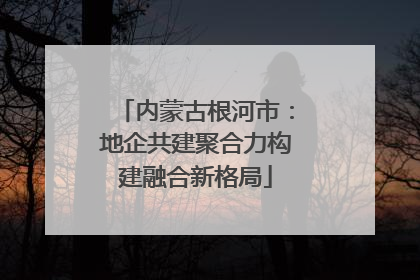 内蒙古根河市：地企共建聚合力构建融合新格局