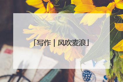 写作｜风吹麦浪