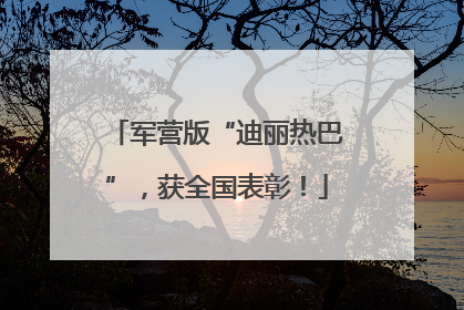 军营版“迪丽热巴”，获全国表彰！