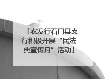 农发行石门县支行积极开展“民法典宣传月”活动