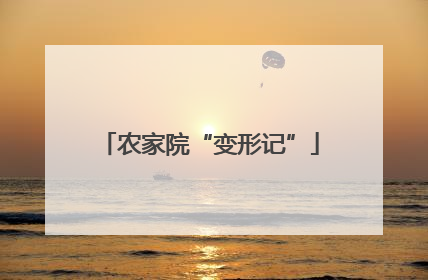 农家院“变形记”