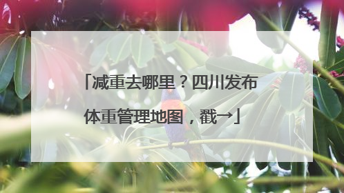 减重去哪里？四川发布体重管理地图，戳→