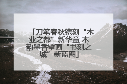 刀笔春秋镌刻“木业之都”新华章 木韵墨香擘画“书刻之城”新蓝图