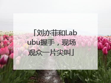 刘亦菲和Labubu握手，现场观众一片尖叫