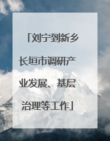 刘宁到新乡长垣市调研产业发展、基层治理等工作