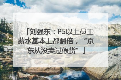 刘强东：P5以上员工薪水基本上都翻倍，“京东从没卖过假货”