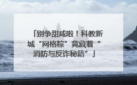 别争甜咸啦！科教新城“网格粽”竟藏着“消防与反诈秘籍”