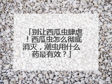 别让西瓜虫肆虐！西瓜虫怎么彻底消灭，潮虫用什么药最有效？