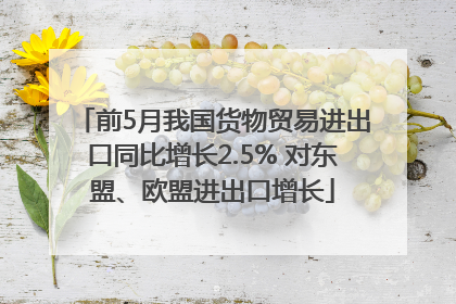 前5月我国货物贸易进出口同比增长2.5% 对东盟、欧盟进出口增长