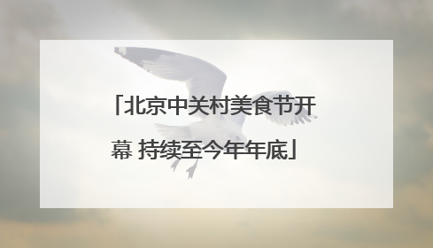 北京中关村美食节开幕 持续至今年年底