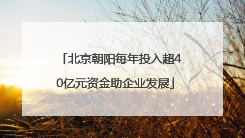北京朝阳每年投入超40亿元资金助企业发展