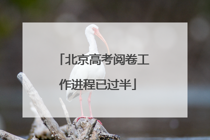 北京高考阅卷工作进程已过半