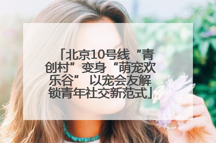 北京10号线“青创村”变身“萌宠欢乐谷” 以宠会友解锁青年社交新范式