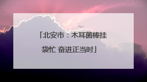 北安市：木耳菌棒挂袋忙 奋进正当时