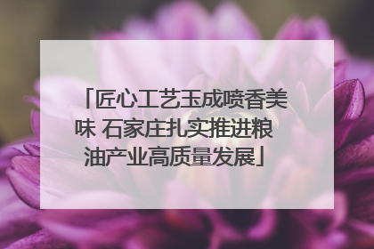匠心工艺玉成喷香美味 石家庄扎实推进粮油产业高质量发展