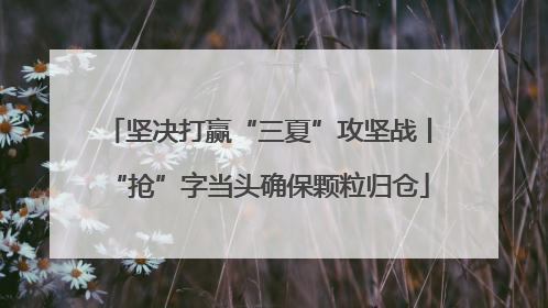 坚决打赢“三夏”攻坚战丨“抢”字当头确保颗粒归仓