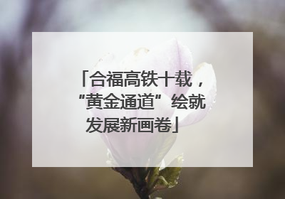 合福高铁十载，“黄金通道”绘就发展新画卷
