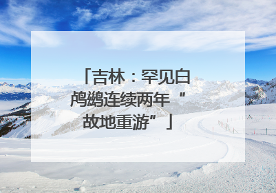 吉林：罕见白鸬鹚连续两年“故地重游”