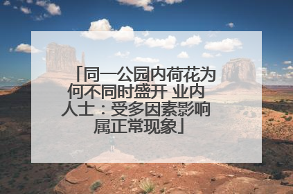 同一公园内荷花为何不同时盛开 业内人士：受多因素影响 属正常现象