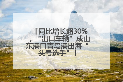同比增长超30%，“出口车辆”成山东港口青岛港出海“头号选手”