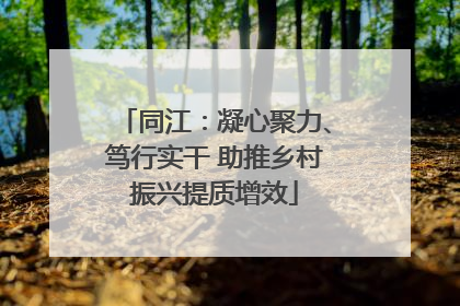 同江：凝心聚力、笃行实干 助推乡村振兴提质增效