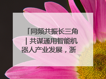 同频共振长三角｜共谋通用智能机器人产业发展，浙江新昌科技日搭建协同创新平台