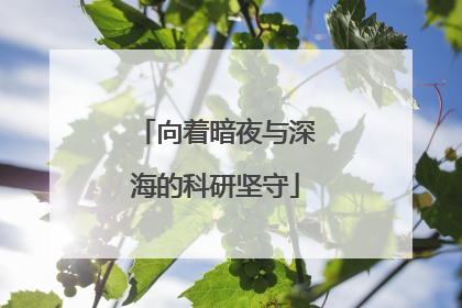 向着暗夜与深海的科研坚守
