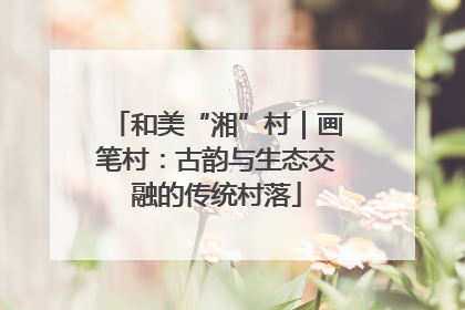 和美“湘”村｜画笔村：古韵与生态交融的传统村落