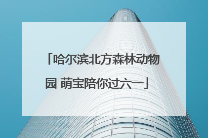 哈尔滨北方森林动物园 萌宝陪你过六一