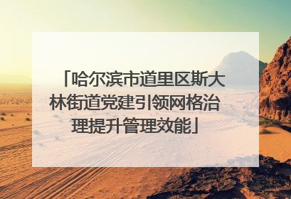 哈尔滨市道里区斯大林街道党建引领网格治理提升管理效能