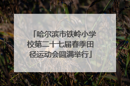 哈尔滨市铁岭小学校第二十七届春季田径运动会圆满举行