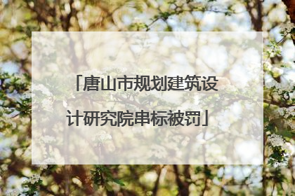 唐山市规划建筑设计研究院串标被罚