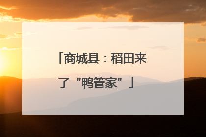 商城县：稻田来了“鸭管家”