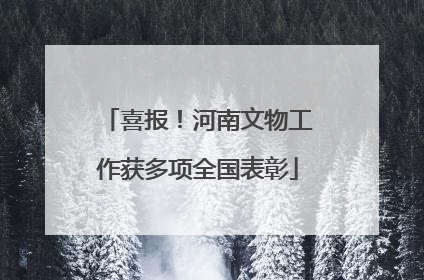 喜报！河南文物工作获多项全国表彰