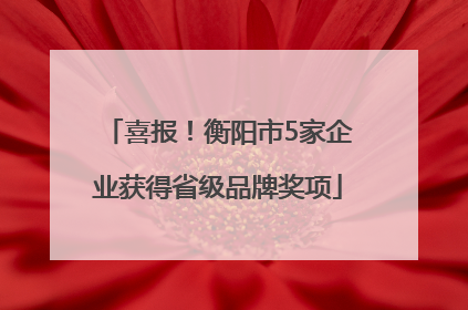 喜报！衡阳市5家企业获得省级品牌奖项